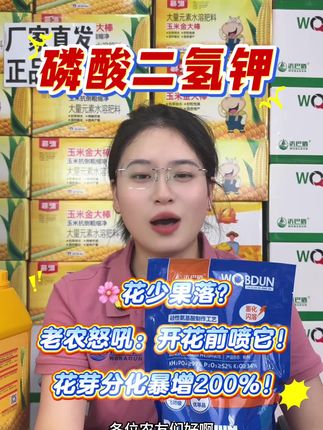 🌸花少果落?老农怒吼:开花前喷它!花芽分化暴增200%!#源头实力厂家 #磷酸二氢钾 #三农#万能肥