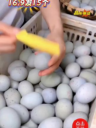 #凉拌皮蛋 #松花蛋 #美食#皮蛋 #好吃不贵经济实惠