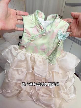 新中式蓬蓬裙 #女宝宝夏日穿搭 #仪式感满满的公主裙 #新中式公主裙 #中国风公主裙
