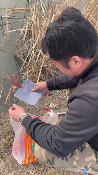 蚂蟥实验 看成效如何😃##水蛭 #蚂蝗水蛭 #水蛭上身