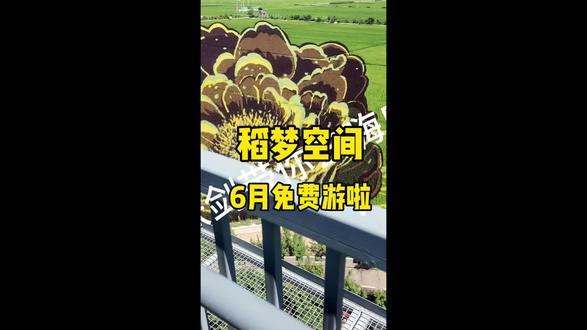 稻梦空间5月29号就要开园了,六月可以免费游,现在还有早鸟票,赶紧先团上#稻梦空间#夏赏稻田冬玩雪#沈阳乡村游玩天花板#跟着东北超游东北#旅行推荐官