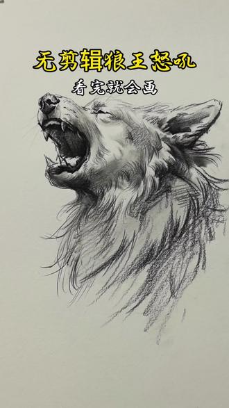 凶猛的狼王,喜欢你也来试试吧 #手绘 #手绘教程