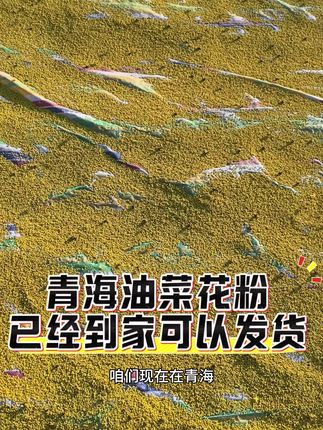 秋繁必备,青海喂蜂花粉! 秋繁喂蜂花粉,蜜蜂花粉,蜜蜂饲料,繁蜂饲料#喂蜂花粉浆 #蜜蜂饲料 #天然花粉 #蜜蜂口粮 #喂蜂饲料