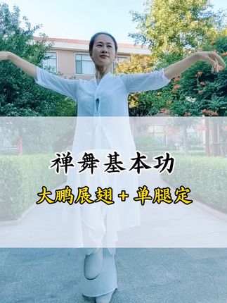 一念起,双臂如大鹏展翼,开合天地之气;,一念定,单足似根植大地,稳守中心之静。#禅舞#爱陪伴心舞#零基础禅舞教学#禅意养生