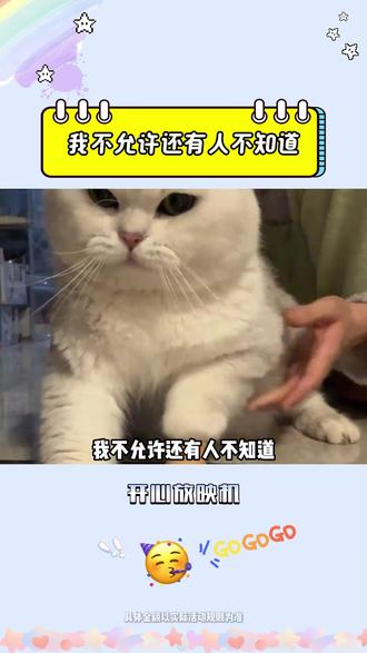 我不允许还有人不知道 #红果短剧 #短剧推荐 #追剧