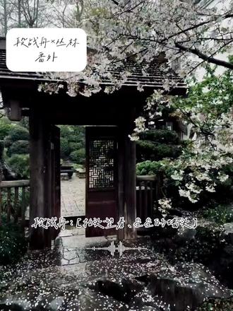 你究竟站在墙头偷看了我多少次🥺 #铜雀锁金钗 #段战舟丛林 #世味煮茶