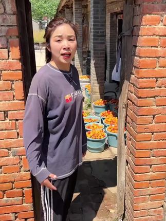#新疆小红杏 #红杏 #香甜软糯 #好吃到停不下来 #现摘现发新鲜到家