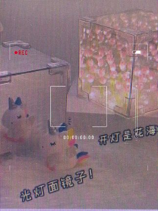 #快来看看