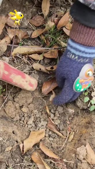 想要快速上手,一定要认真看完!#金属探测器 #户外 #户外探宝 #探宝 #真实户外