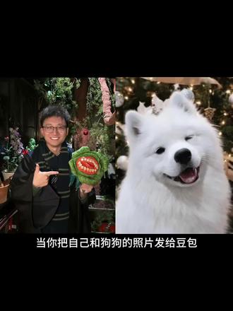 当你把自己和狗狗的照片发给豆包#ai #豆包 #ai指令 #狗狗 #萨摩耶