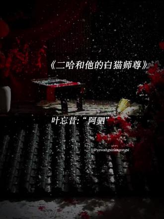 阿驷和小叶子,这是多少人的意难平#小说#二哈和他的白猫师尊