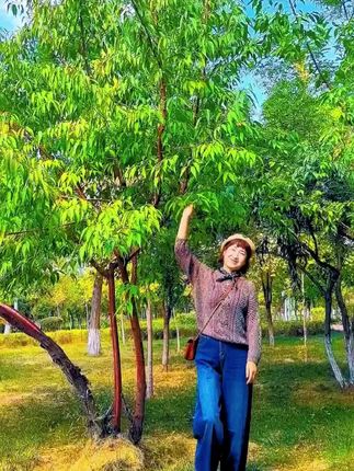 写字如织梦,用文字编织出一幅幅绚烂的画卷。