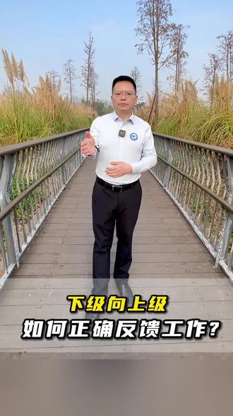 下级向上级如何正确反馈工作?
