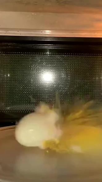 为什么微波炉不能直接加热鸡蛋?