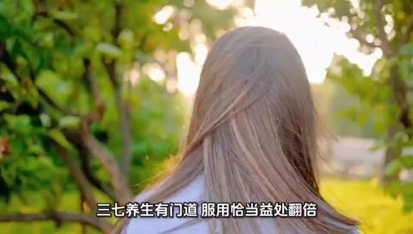 三七养生有门道,服用恰当益处翻倍 三七养生有门道,服用恰当益处翻倍