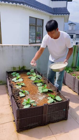 这个瓜果蔬菜通用的复合肥非常便宜好用,既可以播种前做底肥,也可以生长期做追肥。#种菜 #种菜肥料推荐 #复合肥 #施肥 #种菜小技巧