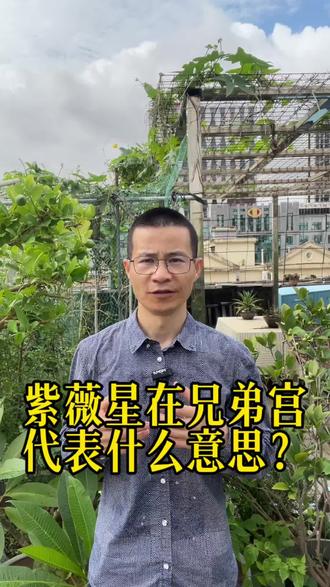 紫薇星在兄弟宫代表什么意思? #紫斗知识分享 #易经 #风水玄学
