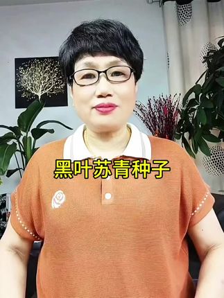 黑大头苏州青种子,黑大头苏州青,上海青,好吃青菜,##家庭种植 #蔬菜种子 #在家种菜