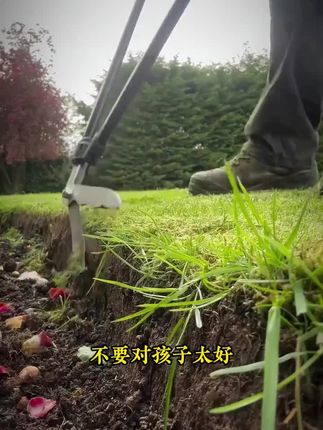适合3到8岁孩子看的绘本,培养强大自信心,激发内驱力#孩子教育#绘本推荐#内驱力的培养