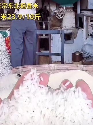 【绿色食品证书认证】正宗东北稻香米10斤厂家直销大米批发超市 #稻花香#稻花香2号#五常大米#东北大米@抖音小助手