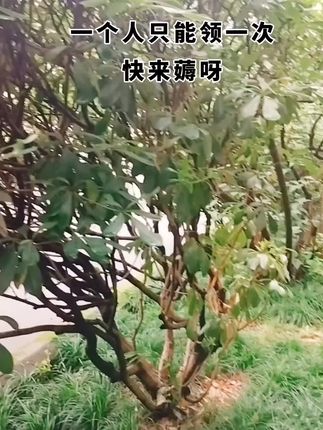 这个价格抢到快充线真的太划算了#充电器#超级快充#充电线
