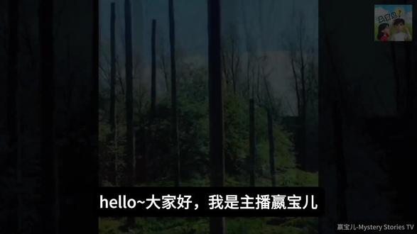 老虎竟然会爬树?真相颠覆认知