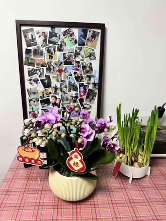 小家虽小,装得下笑声就好;烟火虽短,照得亮团圆就够。红包里塞着祝福,餐桌上摆着满足,我们在爆竹声里碰杯——为去年的圆满,为今年的期盼,为年年的此时,灯火依旧,身边依旧。#福字 #福到我家 #马年大吉