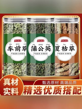 车前草蒲公英夏枯草正品干货白毛夏菇草球婆婆丁煮鸡蛋泡茶煮水喝#郝劭文推荐 #郝劭文好物 #郝劭文好物推荐 #茶 #茶生活