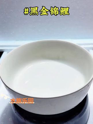 嘿,鱼缸的“镇缸之宝”闪亮登场! 瞧这条黑色锦鲤,鳞片乌黑锃亮,宛如月光给它披上一层釉彩。游动时身姿英挺矫健,尾巴轻摆间,仿佛自带“转运”的强大气场。不管是刚接触养鱼的新手,还是经验丰富的资深玩家,只要养上这么一条,鱼缸颜值瞬间飞升,还能收获“水旺财旺”的美好寓意。新手养它也毫无压力。别犹豫,现在下单,把这份好运带回家!#养鱼日记 #水族爱好者 #锦鲤 #观赏鱼 #上热搜