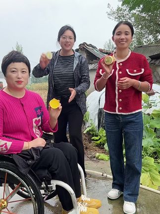 #丁家传仙草膏
