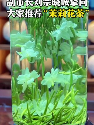 2025新茶茉莉飘雪来咯 六次窨制!#茉莉花茶 茉莉花茶又称茉莉香茶,属再加主要步骤,使茶香与茉莉花香融合在一工茶。以“摊青、揉捻、烘焙民窨制”茉莉花茶其外形兼具绿茶的条索紧结和茉莉花的圆紧壮实;干茶色泽翠绿,自带白色茉莉花瓣,茶汤清澈明亮,冲泡后茶香浓郁清高,滋味鲜爽甘醇,具独特的花韵!口感真的太好啦 快安排起来叭 #召唤茶友 #口感非常好 #今天你喝茶了吗 #茶香四溢