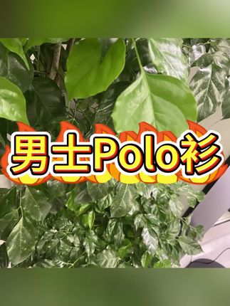 Mexican/稻草人长袖POLO衫男士春秋上衣翻领纯色中年商务休闲T恤#面料柔软舒适 #品质男装 #polo衫 #春秋新款 #polo衫穿搭 @巨量千川