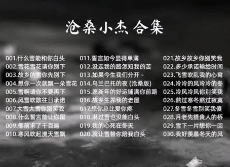 沧桑小杰热门歌曲串烧