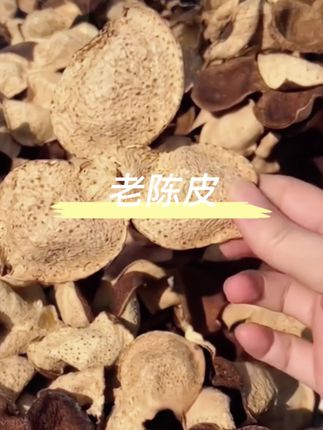 #陈皮 #农产品 #源头好货 #好物推荐🔥 #超便宜超划算