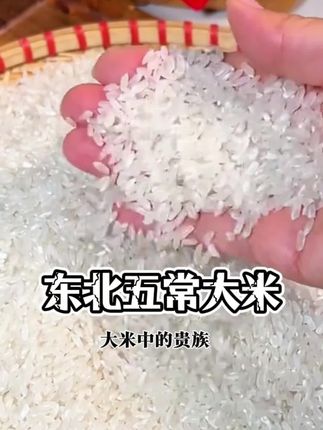 吃过五常大米煮的饭就不想吃别的米饭了,太香了!#五常大米 #大米 #好吃的米饭 #营养美味 #东北五常大米