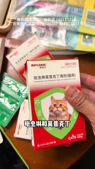 猫咪驱虫药怎么选!#猫咪驱虫药推荐 #猫咪驱虫 #拜达尔驱虫