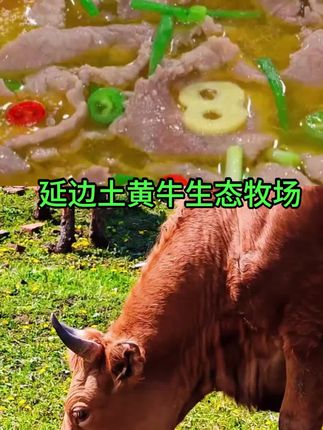 延边土黄牛生态牧场# #抖音推广 #抖音美食推荐官 #抖音美食创作者  #生态黄牛肉专营店#生态农产品