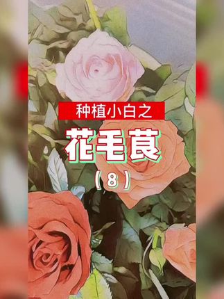 彩乐植通用种植土 蔷薇绿萝绿植土营养土种花种菜土疏松透气园艺