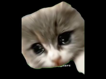 哈吉米年番庆祝! 给大家跳舞助兴#鬼畜视频 #鬼畜 #搞笑视频 #搞笑