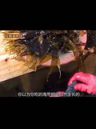 天热不知道吃啥了就安排上这个凉拌海带丝,酸辣爽脆很好吃。