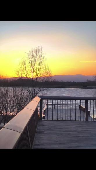 乙木迎来了他的伤官年
#乙木男 #伤官