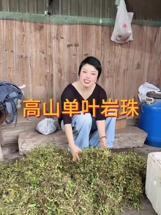 永嘉楠溪江悬崖峭壁单叶岩珠