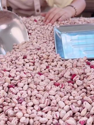【25年新货】贵州雀蛋豆饱满子奶花芸豆营养花生豆煮粥五谷杂粮#五谷杂粮 #芸豆 #雀蛋豆 #贵州美食 #农产品