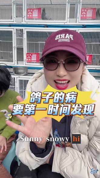 鸽子防病🥳🥳🥳#佛科克 #鸽子 #赛鸽 #信鸽赛鸽