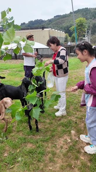 49.9元,畅玩一整天,爽!#国庆超会玩指南