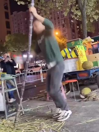 广西的黑皮甘蔗,它跟普通甘蔗不一样,吃起来脆而不硬,脆甜多汁,皮薄肉厚,都是当季新鲜砍发,发货的,老人小孩都可以吃#广西黑皮甘蔗#口感特别好#汁水饱满#快来一起尝鲜