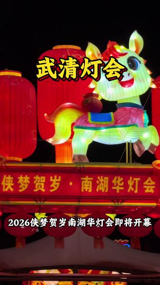 武清人过年新地标!一年一度的南湖灯会即将开始!#遛娃好去处 #年味 #周末去哪儿 #天津灯会 #烟火气