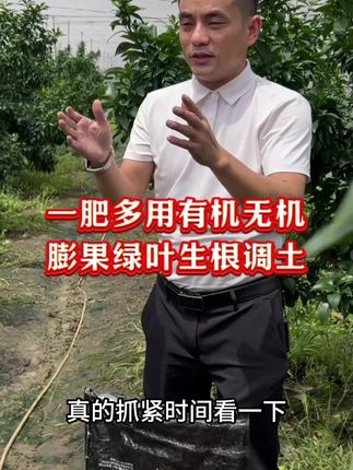 这款柑橘动力有机无机复混肥您真的不能错过!一肥多用,生根调土,绿叶膨果!#果树#柑橘#柑橘种植 #果树管理 #果树种植