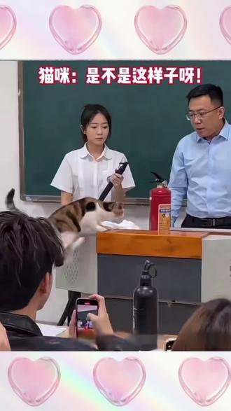 #看完不笑算我输 老师,是不是这个样子呀!