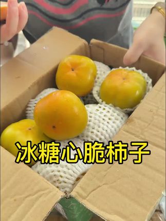 冰糖心脆柿子又来了,一年只吃这20几天,喜欢的千万不要错过了#脆柿子 #脆柿 #新鲜采摘 #应季水果 #快来一起尝个鲜